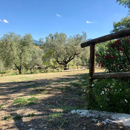 Il Casolare Degli Alburni Villa Castelcivita Eksteriør bilde
