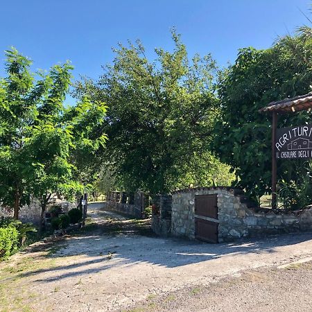 Il Casolare Degli Alburni Villa Castelcivita Eksteriør bilde