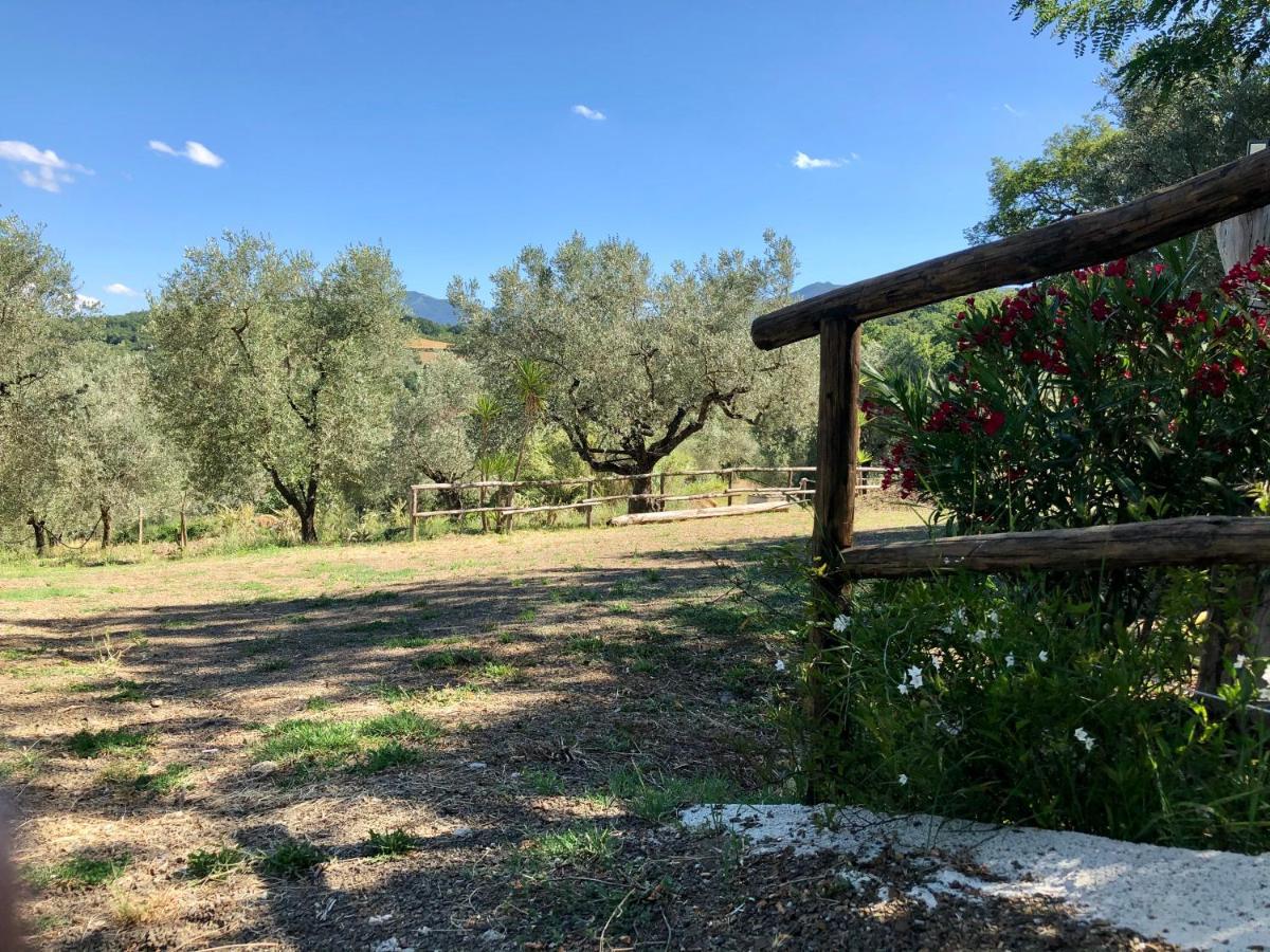 Il Casolare Degli Alburni Villa Castelcivita Eksteriør bilde