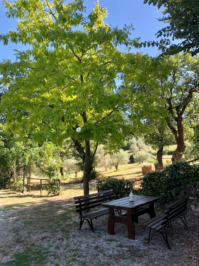 Il Casolare Degli Alburni Villa Castelcivita Eksteriør bilde